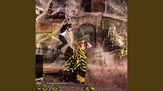 Lights Camera Action