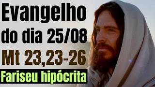 Evangelho do dia com reflexão, Terça-feira 25/08, Jo 1,45-51