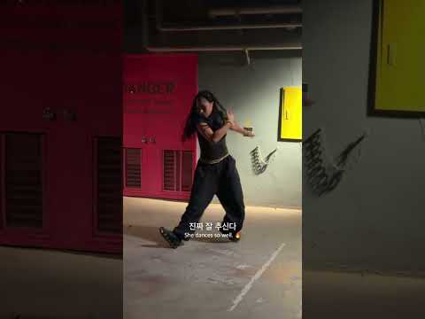 치와와 뮤비를 찍었다