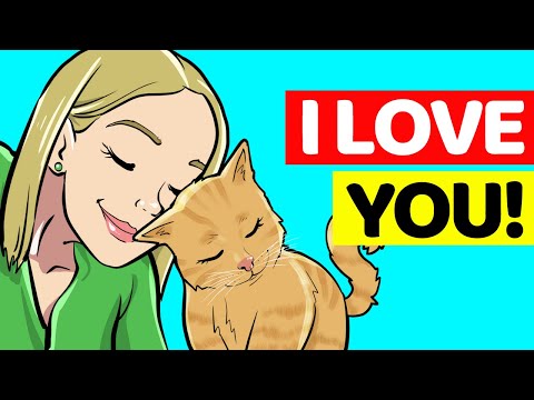 12 Guaranteed Signs Your Cat Loves You