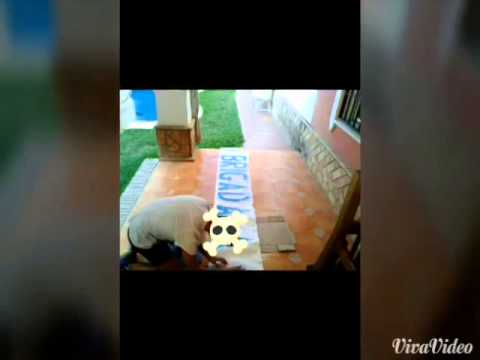 Espartinas cf Juntos lo conseguiremos