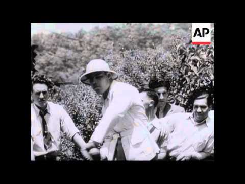 Max Schmeling and Joe Louis