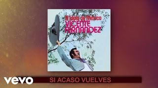 Vicente Fernández - Si Acaso Vuelves (Cover Audio)