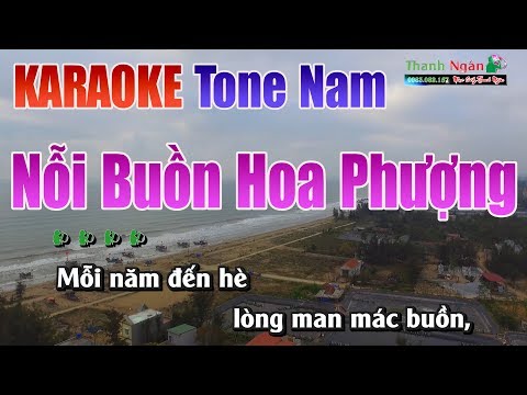 Nỗi Buồn Hoa Phượng Karaoke |Tone Nam - Nhạc Sống Thanh Ngân