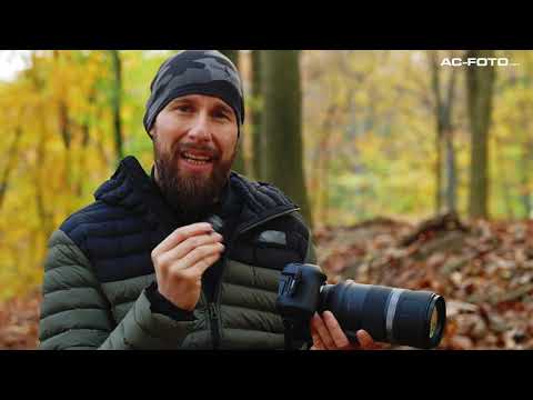 Canon EOS R6 & 600mm f11: Really as good as everyone says? Review / Camera test with Robert Marc ...