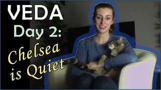 Chelsea is Quiet / VEDA Day 2