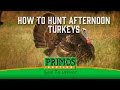 How To Hunt Afternoon Turkeys
