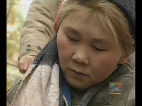 Ray Mears' World Of Survival S01E03 - Siberia