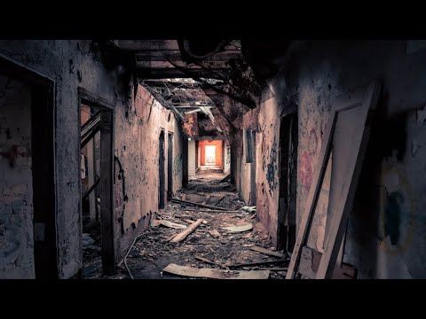 Steve Slight – Saga (Aves Volare Remix)