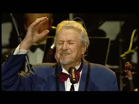 Švelnumas - Algimantas Raudonikis