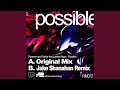Possible (Jake Shanahan Dub Mix) feat. Larissa Ness