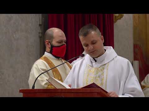 Videó előnézet