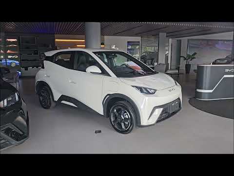 Novo BYD Dolphin MINI 2024: preços, fotos oficiais, autonomia, ficha técnica