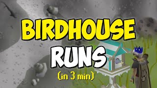 Birdhouse Runs in 3 minutes (Quick Guide)