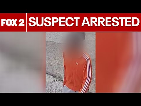 Four teen suspects arrested in deadly Pontiac shooting