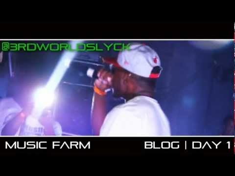 SLYCKA SLYCK | BLOG 1