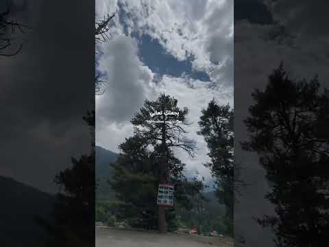 Why Allah Puts You in Pain 🤍 | Faith & Patience #life #quotes #motivation