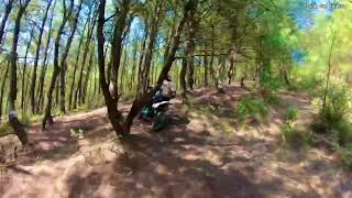 Test cào cào chạy đồi thông trốn F0