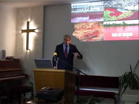 7. Armagedon - Sedam čaša gneva - Goran Nikolić