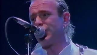 Status Quo-Little Dreamer LIVE