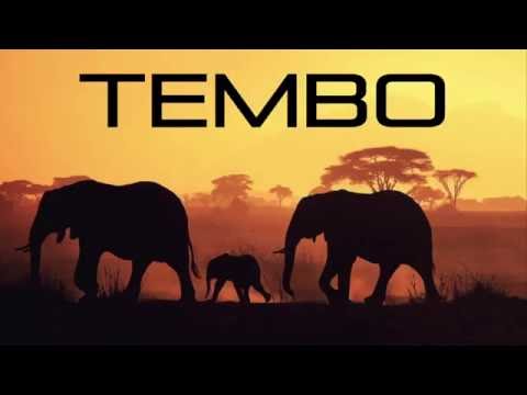Wahlbeck - Tembo (Radio Edit)