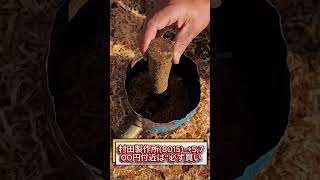 #日本株投資 #日本株式 #日本株 #日本株高配当#株式投資 #株式 #投資家 #資産運用 #投資#資産形成 #エネルギー #NISA #株初心者