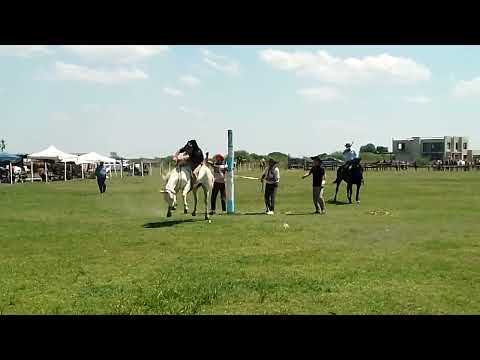 26º ANIVERSARIO DE LA FIESTA DEL CABALLO EN CAMPO DE DESTREZA CRIOLLA VILLA GUILLERMINA SANTA FE