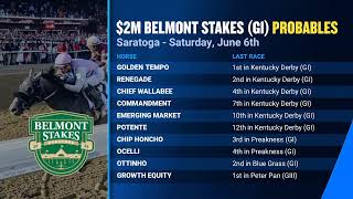 Belmont Stakes Probables