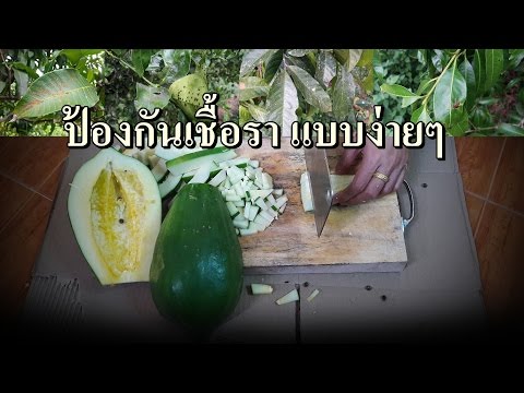 แบดเจอร์แอปพลิเคโรคสะเก็ดเงินไขมัน โรคสะเก็ดเงินสิวเล็ก ๆ น้อย ๆ