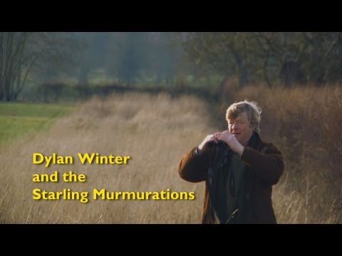 download lagu mp3 mp4 Dylan Winter, download mp3 Dylan Winter free downloadn, video klip Dylan Winter
