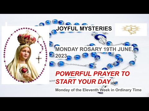 🔴 Rosary Monday Joyful Mysteries of the Rosary June 19, 2023 🌹Praying Daily🙏🏼