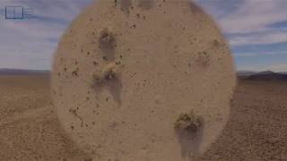 In the wilderness (Exodus) | Michael Card [NL ondertiteling]