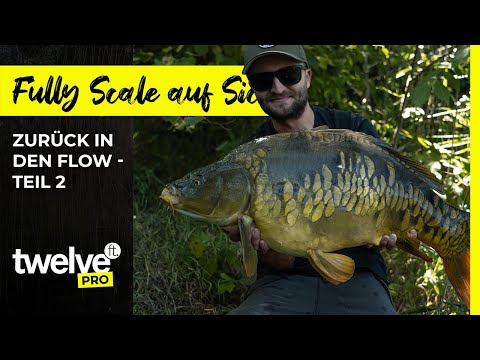 Fully Scale beim Stalking - Zurück in den Flow mit Simon Gehrlein | Karpfen | Stalken | Popup |