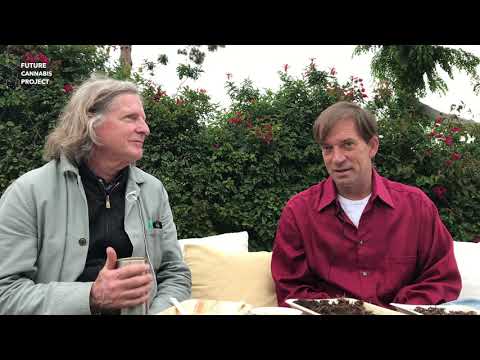 Skunk #1, Mendo Purp, and the History of SFV OG