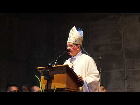 Propovijed biskupa Škvorčevića na blagdan Gospe od Suza u Pleternici