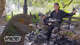 Kissing NYC Pigeons with Larry the Bird Man