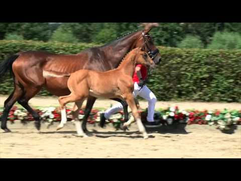 128 Dating Daisy Stute v. Dankeschön - Weltmeyer