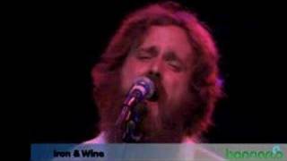Iron &amp; Wine - Love And Some Verses @ Bonnaroo