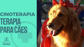 Cinoterapia - terapia cães UPA