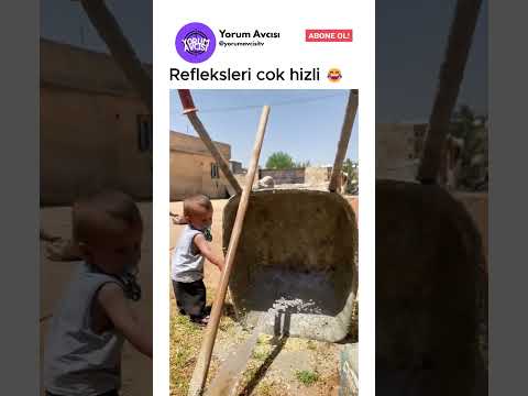 refleksleri çok hızlı