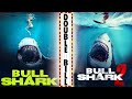 BULLSHARK X BULLSHARK 2 Shark Movies Double Bill The Midnight Screening