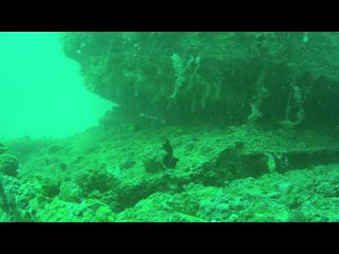 Scuba Diving Venice, Florida - WWII Tank Artificial Reef