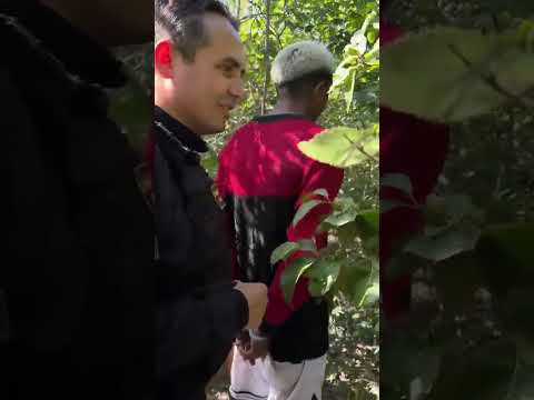 Operação do DRACO na Cidade de Buriti dos Lopes.