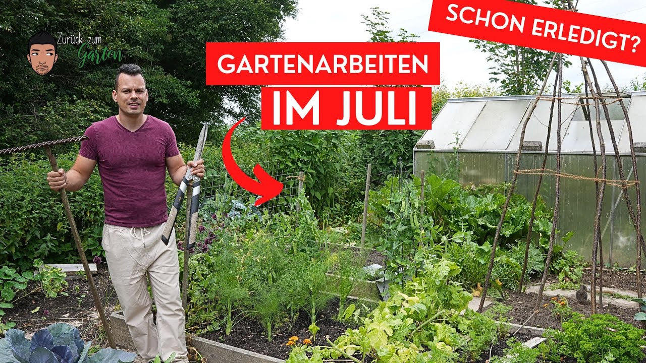 youtube video id=88XtaDJa4DQ