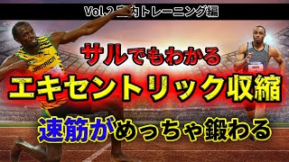 短距離選手に必須である速筋はエキセントリック収縮を活用すればより一層鍛えられます