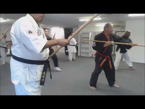 Bo Sho Ni (Bo Kata #2)