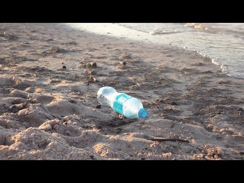 World Environment Day: Hashtags to Fight Pollution