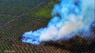 Download lagu KABUT ASAP MENYERANG KOTA #pekanbaru #kabutasap #sumatera #indonesia mp3