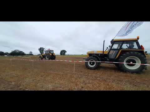 Ursus 1614 Deluxe Sport Edition vs Ursus 1614