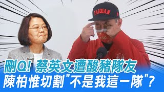 Re: [新聞] 快訊／陳柏惟發聲要基進派人補選立委　「